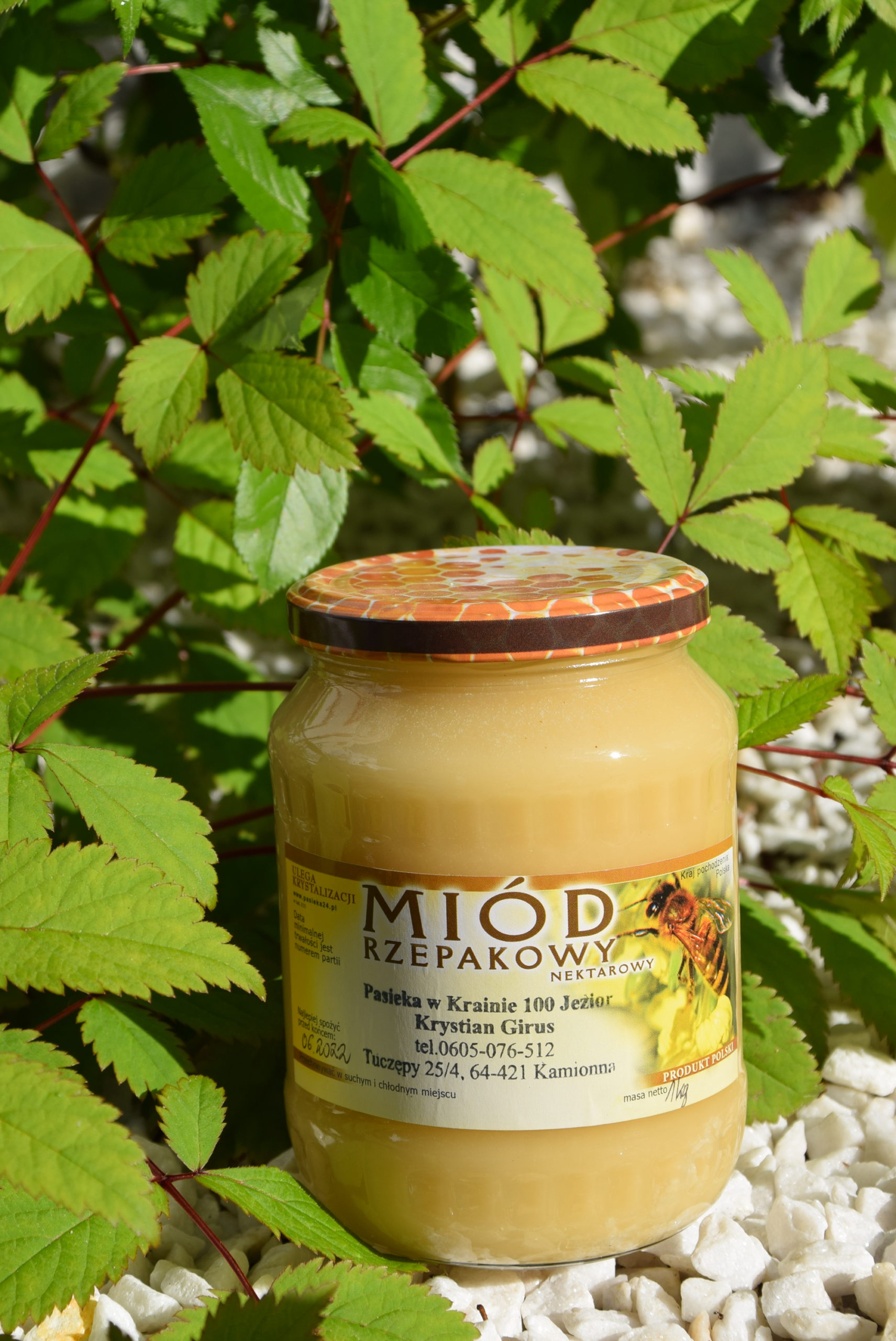 Miód rzepakowy 1000g